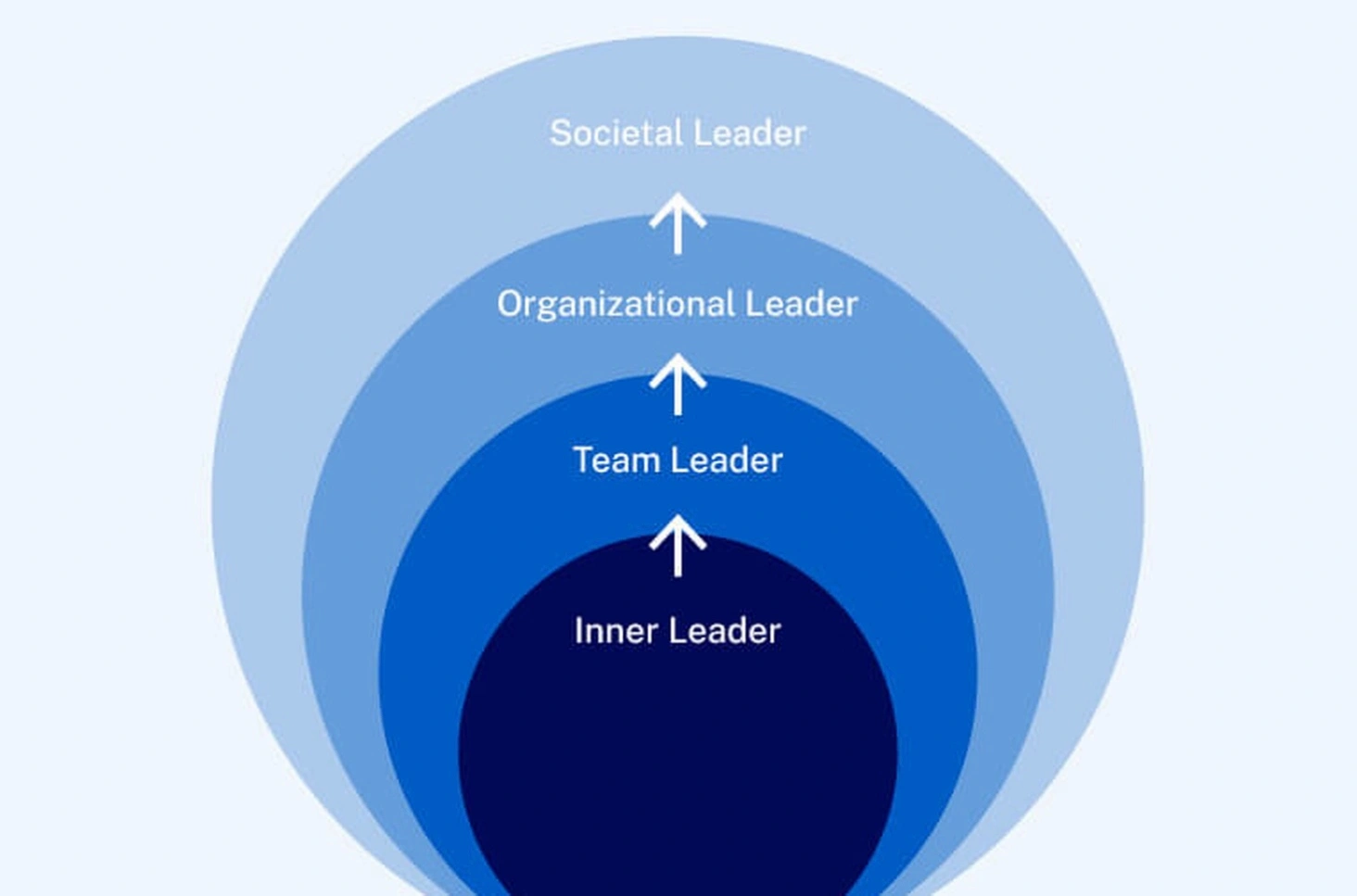 Leadership training session with professional coaches